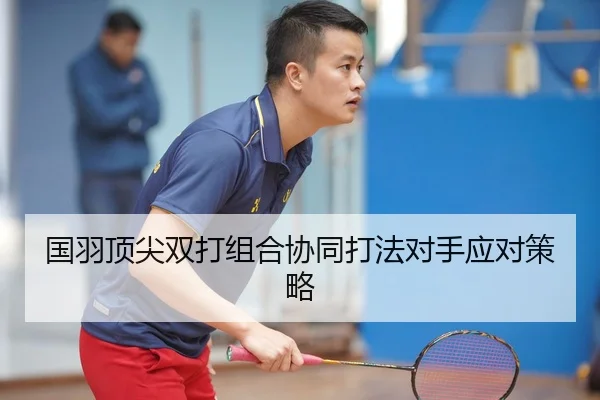 国羽顶尖双打组合协同打法对手应对策略 | 3377Sports